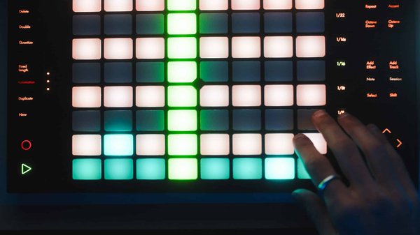 What Are the Ideal Water Parameters for Keeping Discus Fish Thriving?