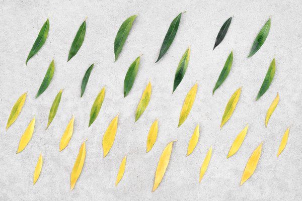 How to Style a Lightweight Duster Coat for a Transitional Office Outfit?