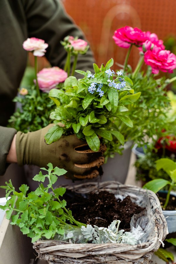 Bacsac: raised fabric gardens for every space